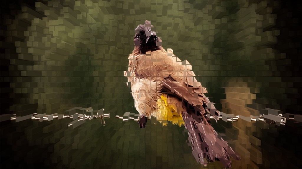Factured Bird on Wire