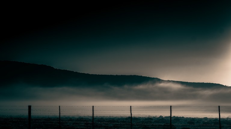 Misty Morning