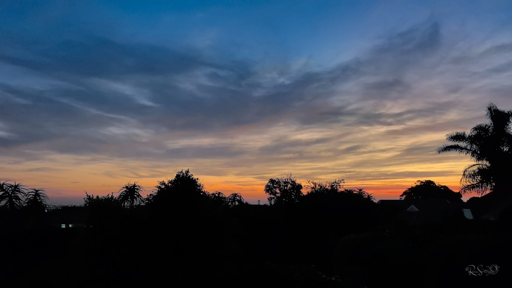 A silhouette of trees against a fading night sky as dawn’s first light breaks through the darkness, symbolizing hope emerging from sorrow.