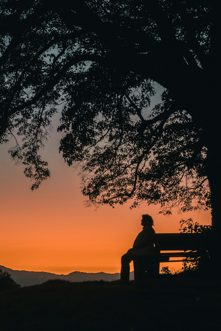 Silhouette of a woman sitting on a bench beneath a large tree at sunset, watching the horizon in quiet reflection.