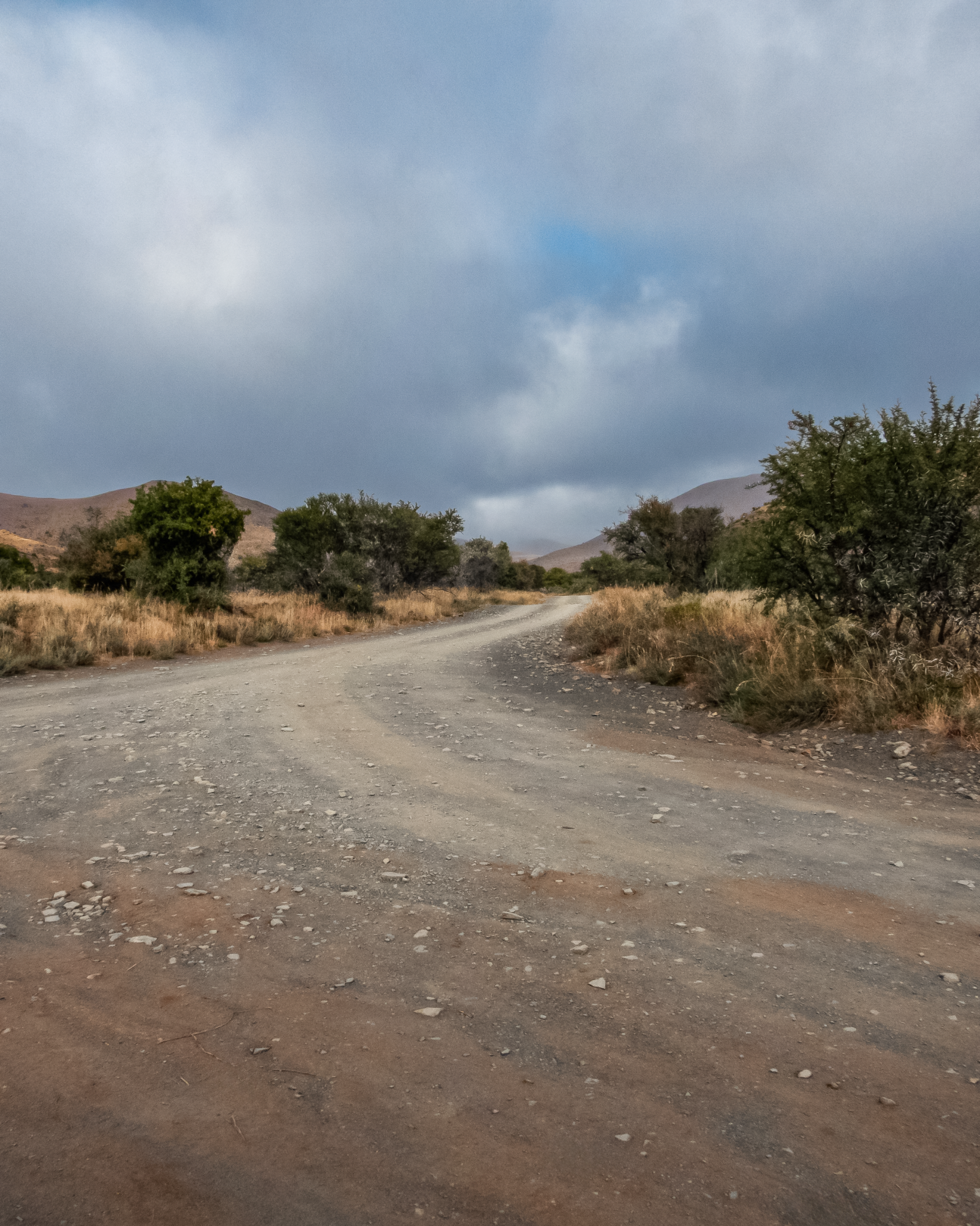 Gravel road winding through dry winter grassland toward distant mountains under a heavy, clouded sky, Mountain Zebra National Park.