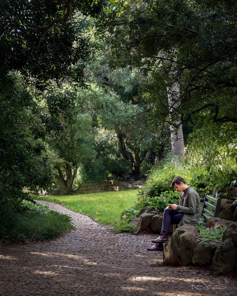 A person reads on a bench beside a winding cobblestone path beneath a dense canopy of green trees.